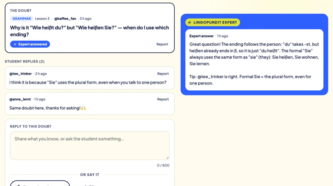 A student's doubt answered by a Lingopundit expert